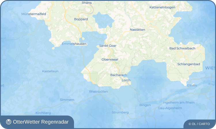 OtterWetter Regenradar-Widget Dellhofen