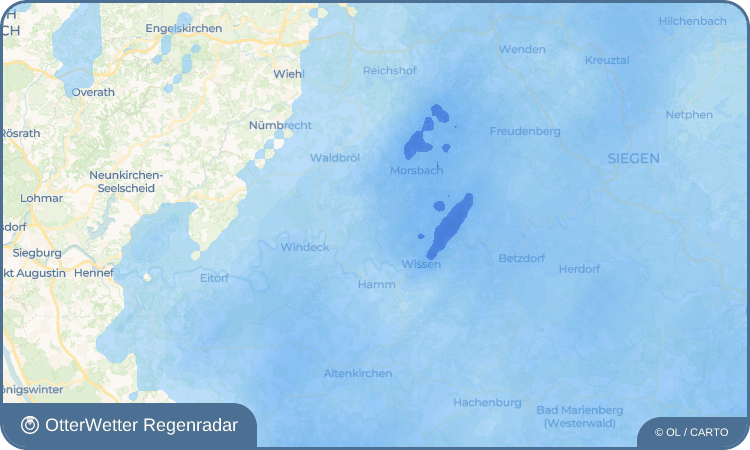 OtterWetter Regenradar-Widget Dellingen