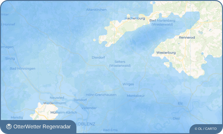 OtterWetter Regenradar-Widget Ellenhausen