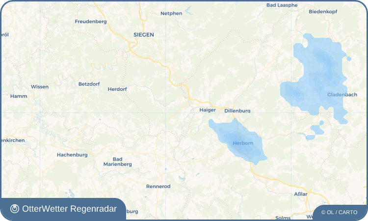 OtterWetter Regenradar-Widget Holzhausen