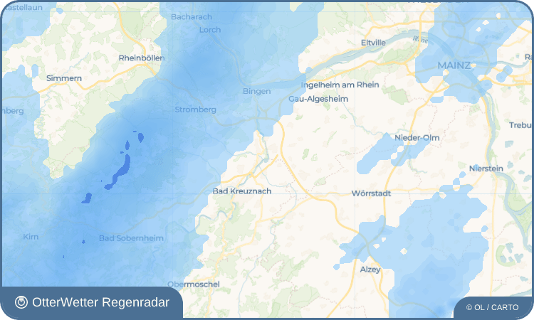 OtterWetter Regenradar-Widget Ippesheim