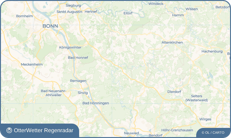 OtterWetter Regenradar-Widget Kodden