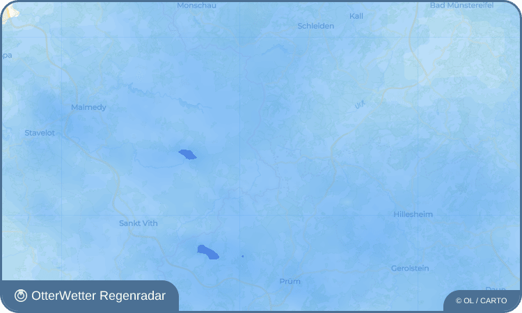 OtterWetter Regenradar-Widget Losheim