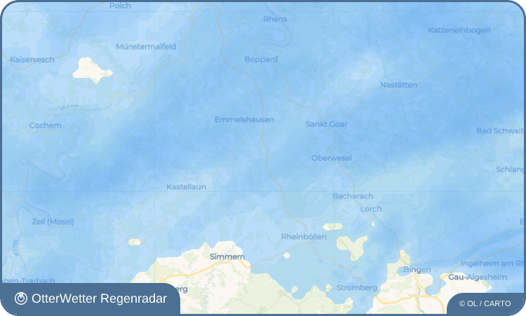 OtterWetter Regenradar-Widget Nenzhäuser Hof