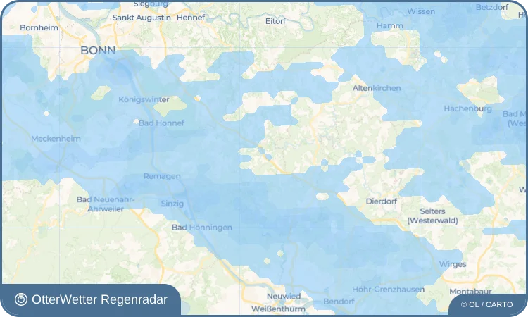 Wetter-Widget-Vorschau mit Vorhersagedaten für Neschen