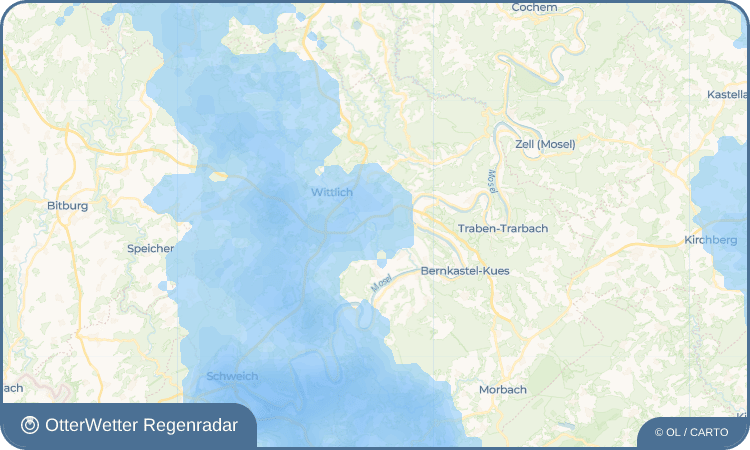 OtterWetter Regenradar-Widget Platten