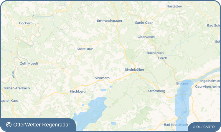 OtterWetter Regenradar-Widget Pleizenhausen