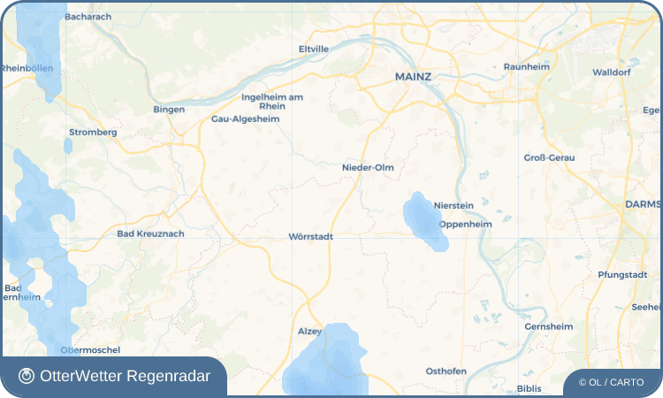 OtterWetter Regenradar-Widget Saulheim