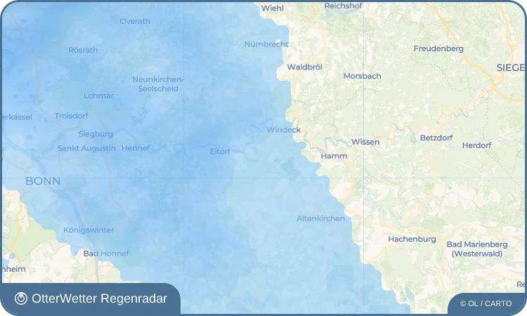 Wetter-Widget-Vorschau mit Vorhersagedaten für Schneppe