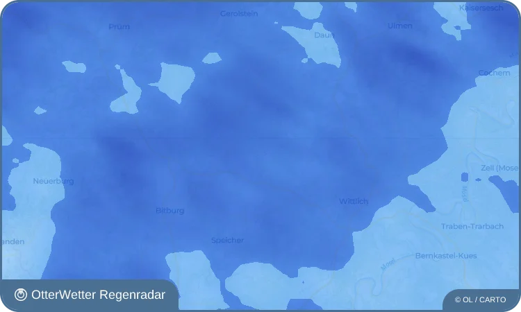 Wetter-Widget-Vorschau mit Vorhersagedaten für Schwarzenborn