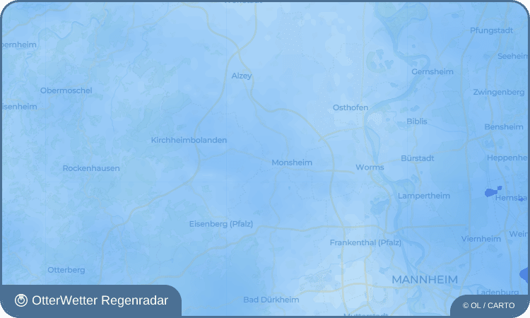 OtterWetter Regenradar-Widget Wachenheim