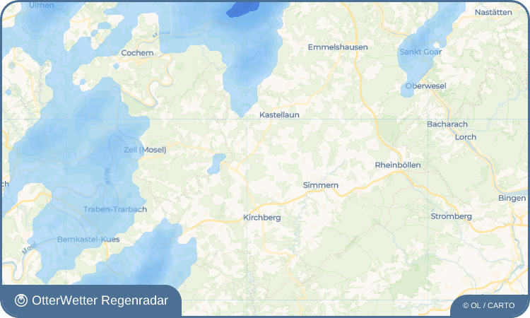 OtterWetter Regenradar-Widget Wüschheim