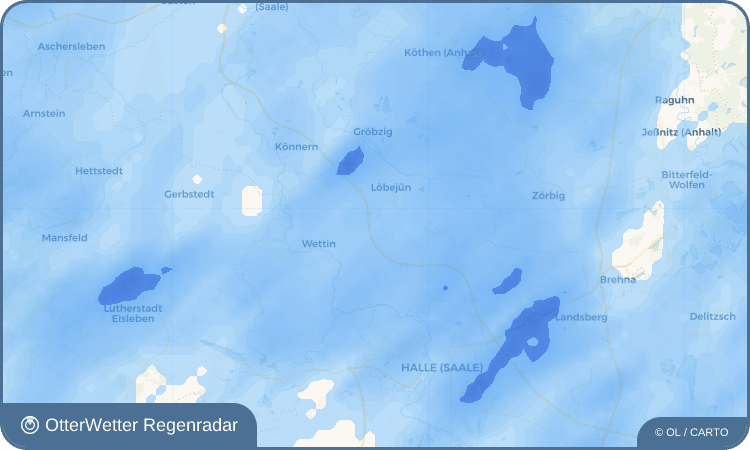 OtterWetter Regenradar-Widget Nauendorf