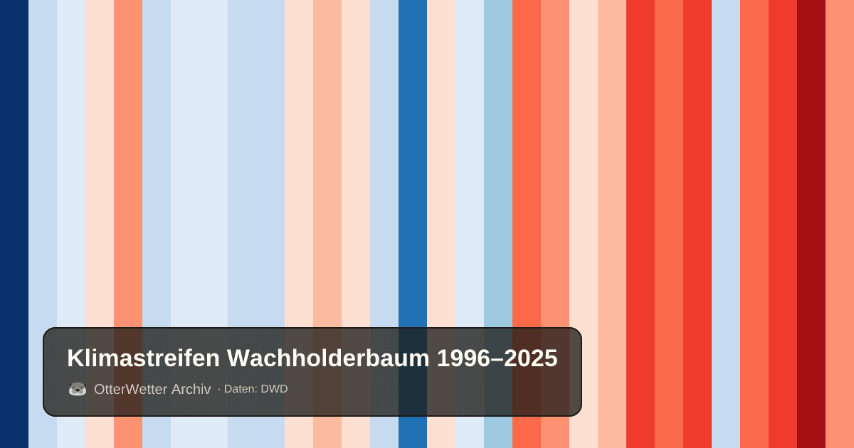 Klimastreifen Wachholderbaum: Jahresmitteltemperaturen von blau (kühler) bis rot (wärmer)